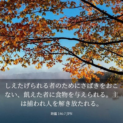 Picture 03 - 詩篇 146:7 JPN - しえたげられる者のためにさばきを - Bible Verse Picture