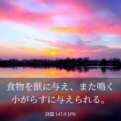 Picture 03 - 詩篇 147:9 JPN - 食物を獣に与え、また鳴く小がらす - Bible Verse Picture