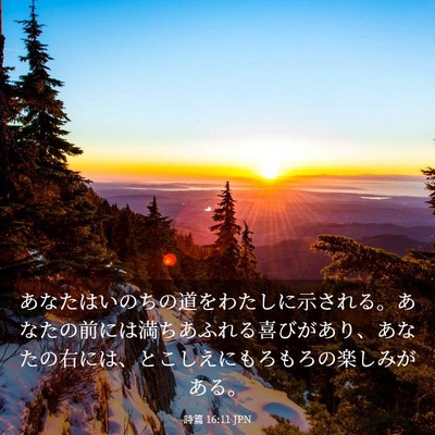 Picture 03 - 詩篇 16:11 JPN - あなたはいのちの道をわたしに示さ - Bible Verse Picture
