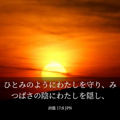 Picture 03 - 詩篇 17:8 JPN - ひとみのようにわたしを守り、みつ - Bible Verse Picture
