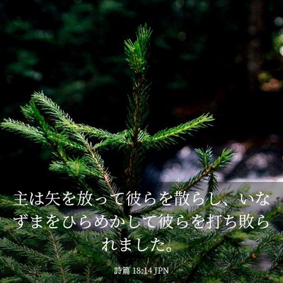Picture 03 - 詩篇 18:14 JPN - 主は矢を放って彼らを散らし、いな - Bible Verse Picture
