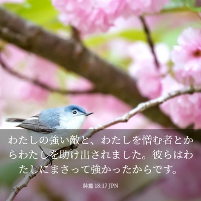 Picture 03 - 詩篇 18:17 JPN - わたしの強い敵と、わたしを憎む者 - Bible Verse Picture