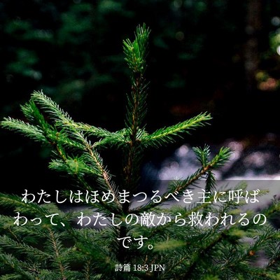 Picture 03 - 詩篇 18:3 JPN - わたしはほめまつるべき主に呼ばわ - Bible Verse Picture