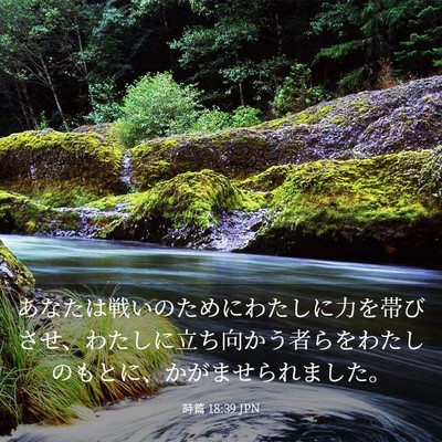 Picture 03 - 詩篇 18:39 JPN - あなたは戦いのためにわたしに力を - Bible Verse Picture