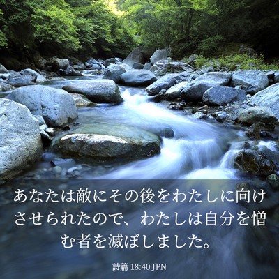 Picture 03 - 詩篇 18:40 JPN - あなたは敵にその後をわたしに向け - Bible Verse Picture