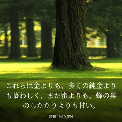 Picture 03 - 詩篇 19:10 JPN - これらは金よりも、多くの純金より - Bible Verse Picture