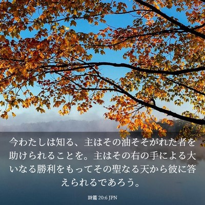 Picture 03 - 詩篇 20:6 JPN - 今わたしは知る、主はその油そそが - Bible Verse Picture