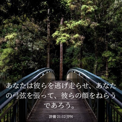 Picture 03 - 詩篇 21:12 JPN - あなたは彼らを逃げ走らせ、あなた - Bible Verse Picture