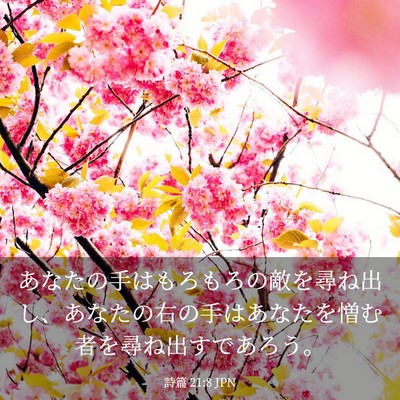 Picture 03 - 詩篇 21:8 JPN - あなたの手はもろもろの敵を尋ね出 - Bible Verse Picture