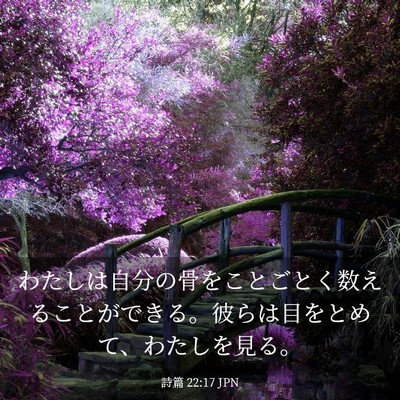 Picture 03 - 詩篇 22:17 JPN - わたしは自分の骨をことごとく数え - Bible Verse Picture