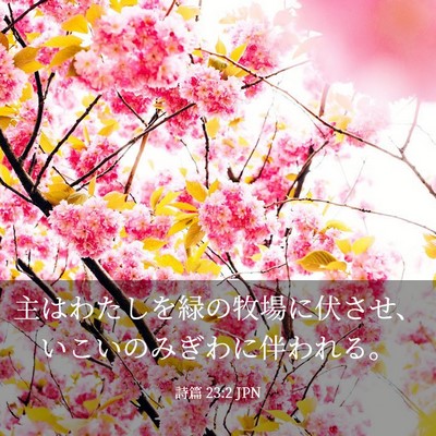 Picture 03 - 詩篇 23:2 JPN - 主はわたしを緑の牧場に伏させ、い - Bible Verse Picture