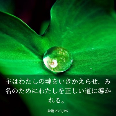 Picture 03 - 詩篇 23:3 JPN - 主はわたしの魂をいきかえらせ、み - Bible Verse Picture
