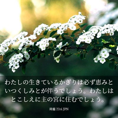 Picture 03 - 詩篇 23:6 JPN - わたしの生きているかぎりは必ず恵 - Bible Verse Picture