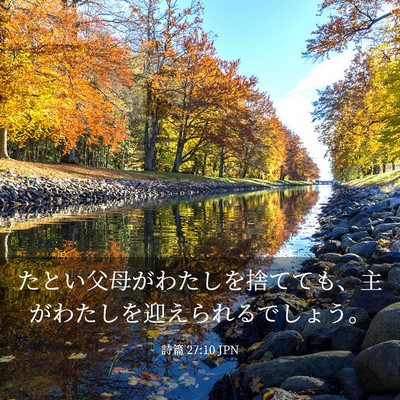 Picture 03 - 詩篇 27:10 JPN - たとい父母がわたしを捨てても、主 - Bible Verse Picture