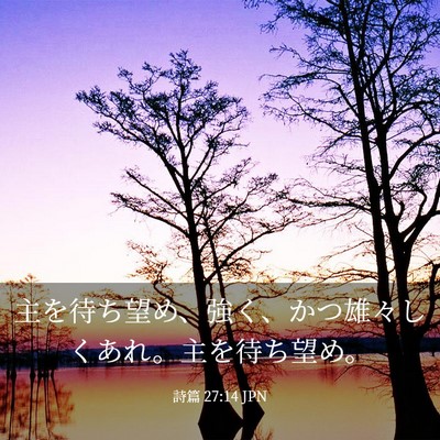Picture 03 - 詩篇 27:14 JPN - 主を待ち望め、強く、かつ雄々しく - Bible Verse Picture