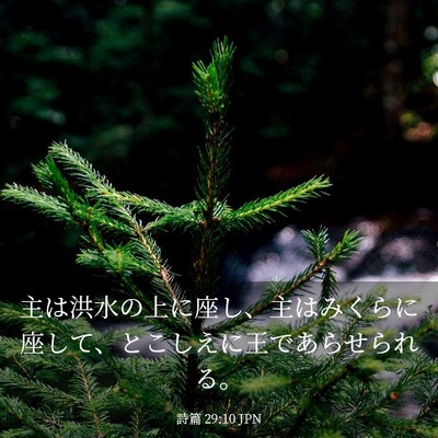 Picture 03 - 詩篇 29:10 JPN - 主は洪水の上に座し、主はみくらに - Bible Verse Picture