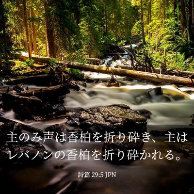 Picture 03 - 詩篇 29:5 JPN - 主のみ声は香柏を折り砕き、主はレ - Bible Verse Picture