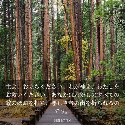 Picture 03 - 詩篇 3:7 JPN - 主よ、お立ちください。わが神よ、 - Bible Verse Picture