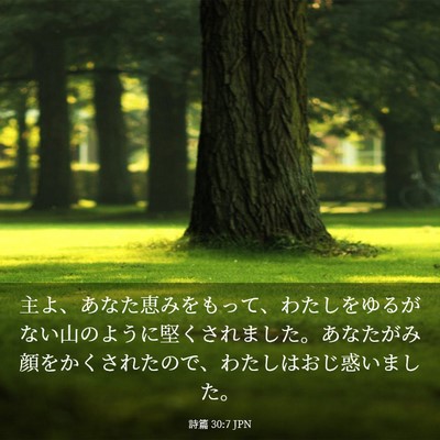 Picture 03 - 詩篇 30:7 JPN - 主よ、あなた恵みをもって、わたし - Bible Verse Picture