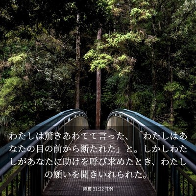 Picture 03 - 詩篇 31:22 JPN - わたしは驚きあわてて言った、「わ - Bible Verse Picture