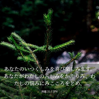 Picture 03 - 詩篇 31:7 JPN - あなたのいつくしみを喜び楽しみま - Bible Verse Picture