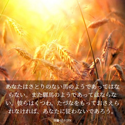Picture 03 - 詩篇 32:9 JPN - あなたはさとりのない馬のようであ - Bible Verse Picture