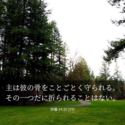 Picture 03 - 詩篇 34:20 JPN - 主は彼の骨をことごとく守られる。 - Bible Verse Picture
