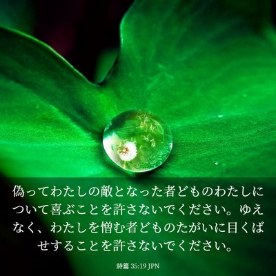 Picture 03 - 詩篇 35:19 JPN - 偽ってわたしの敵となった者どもの - Bible Verse Picture