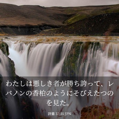 Picture 03 - 詩篇 37:35 JPN - わたしは悪しき者が勝ち誇って、レ - Bible Verse Picture