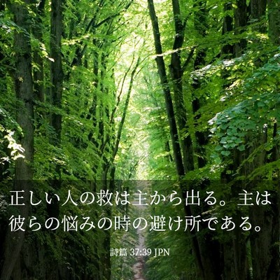 Picture 03 - 詩篇 37:39 JPN - 正しい人の救は主から出る。主は彼 - Bible Verse Picture