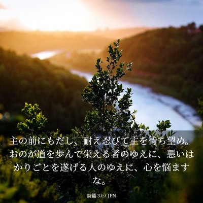 Picture 03 - 詩篇 37:7 JPN - 主の前にもだし、耐え忍びて主を待 - Bible Verse Picture