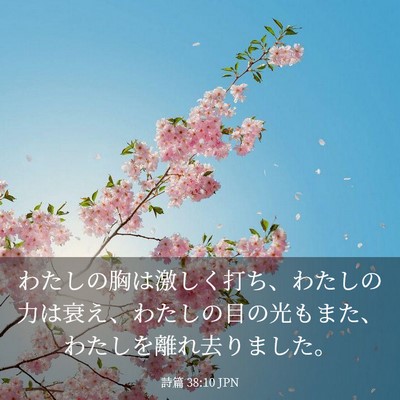 Picture 03 - 詩篇 38:10 JPN - わたしの胸は激しく打ち、わたしの - Bible Verse Picture