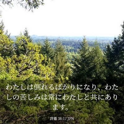 Picture 03 - 詩篇 38:17 JPN - わたしは倒れるばかりになり、わた - Bible Verse Picture