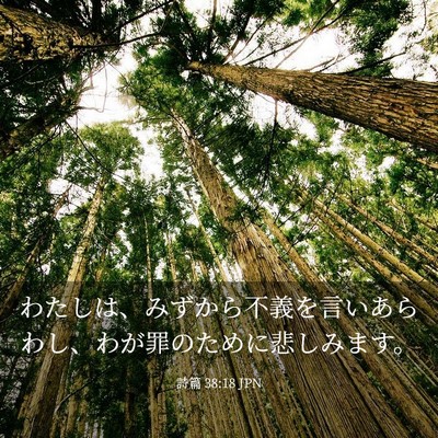 Picture 03 - 詩篇 38:18 JPN - わたしは、みずから不義を言いあら - Bible Verse Picture