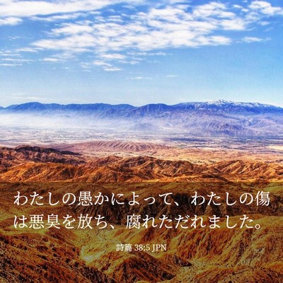 Picture 03 - 詩篇 38:5 JPN - わたしの愚かによって、わたしの傷 - Bible Verse Picture