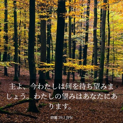 Picture 03 - 詩篇 39:7 JPN - 主よ、今わたしは何を待ち望みまし - Bible Verse Picture