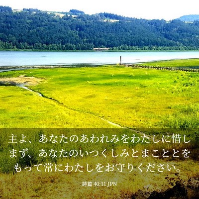 Picture 03 - 詩篇 40:11 JPN - 主よ、あなたのあわれみをわたしに - Bible Verse Picture