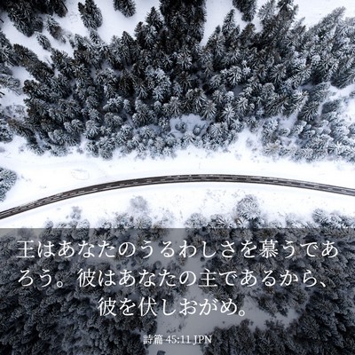 Picture 03 - 詩篇 45:11 JPN - 王はあなたのうるわしさを慕うであ - Bible Verse Picture