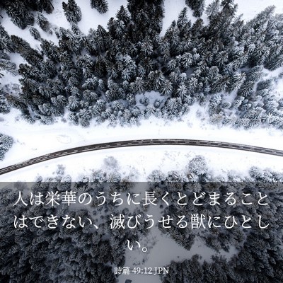 Picture 03 - 詩篇 49:12 JPN - 人は栄華のうちに長くとどまること - Bible Verse Picture