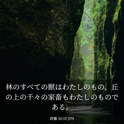 Picture 03 - 詩篇 50:10 JPN - 林のすべての獣はわたしのもの、丘 - Bible Verse Picture