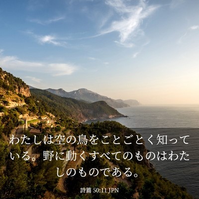 Picture 03 - 詩篇 50:11 JPN - わたしは空の鳥をことごとく知って - Bible Verse Picture