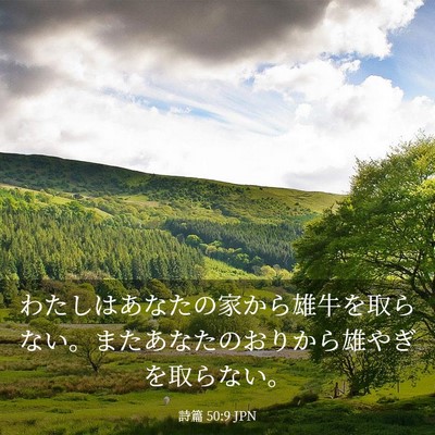 Picture 03 - 詩篇 50:9 JPN - わたしはあなたの家から雄牛を取ら - Bible Verse Picture