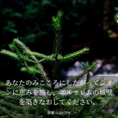 Picture 03 - 詩篇 51:18 JPN - あなたのみこころにしたがってシオ - Bible Verse Picture