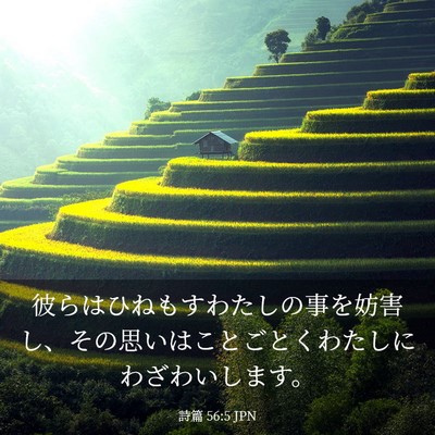 Picture 03 - 詩篇 56:5 JPN - 彼らはひねもすわたしの事を妨害し - Bible Verse Picture