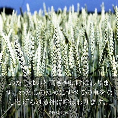 Picture 03 - 詩篇 57:2 JPN - わたしはいと高き神に呼ばわります - Bible Verse Picture