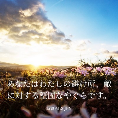 Picture 03 - 詩篇 61:3 JPN - あなたはわたしの避け所、敵に対す - Bible Verse Picture