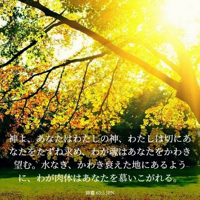 Picture 03 - 詩篇 63:5 JPN - 神よ、あなたはわたしの神、わたし - Bible Verse Picture