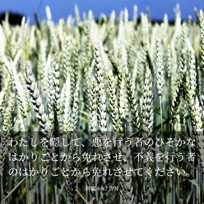 Picture 03 - 詩篇 64:2 JPN - わたしを隠して、悪を行う者のひそ - Bible Verse Picture