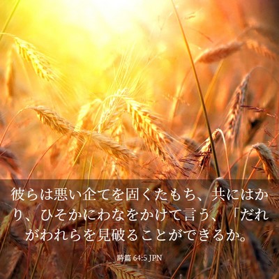 Picture 03 - 詩篇 64:5 JPN - 彼らは悪い企てを固くたもち、共に - Bible Verse Picture