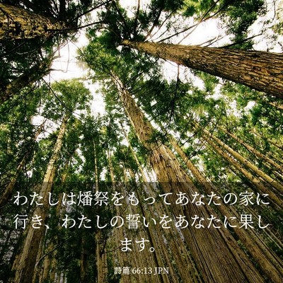 Picture 03 - 詩篇 66:13 JPN - わたしは燔祭をもってあなたの家に - Bible Verse Picture